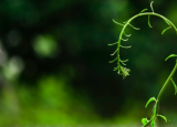 花园可以为您的BTL增加多少价值