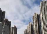 南海岸企业在毁灭性的丛林大火后开始慢慢站起来
