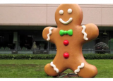 谷歌正在运行Gingerbread2.3.7及更早版本的设备上调用时间