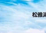 松雅湖有哪些景点