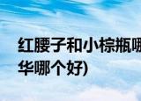 红腰子和小棕瓶哪个好(红腰子和欧莱雅黑精华哪个好)