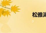 松雅湖有多大面积