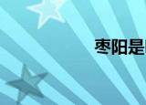 枣阳是哪个省的城市