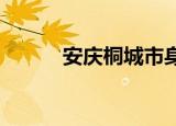 安庆桐城市身份证开头六位数字