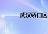 武汉硚口区属于汉口还是武昌