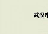 武汉市区是哪个区