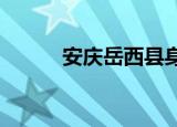 安庆岳西县身份证开头六位数字