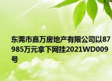 东莞市嘉万房地产有限公司以87985万元拿下网挂2021WD009号
