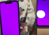 许多iPhone13用户都面临着粉屏问题