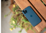 如何参加苹果2022年ShotoniPhone挑战赛