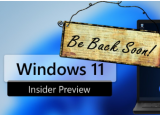 微软确认本周不会推出Windows11版本