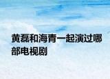 黄磊和海青一起演过哪部电视剧