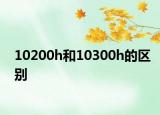 10200h和10300h的区别