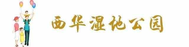 超全！昆明32个最适合一日游的免费景点，够你任性玩一年！