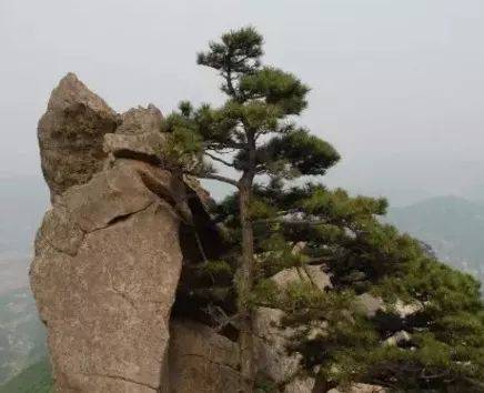 玩遍大连丨不负好春光,普兰店游玩线路最新出炉!逐一打卡去~