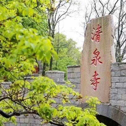 玩遍大连丨不负好春光,普兰店游玩线路最新出炉!逐一打卡去~
