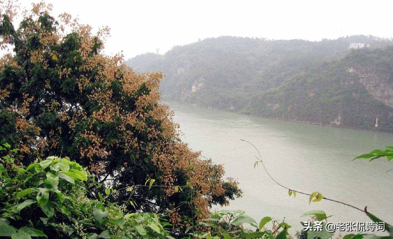 我们都会背经典唐诗，“渚清沙白鸟飞回”，“渚清沙白”啥意思