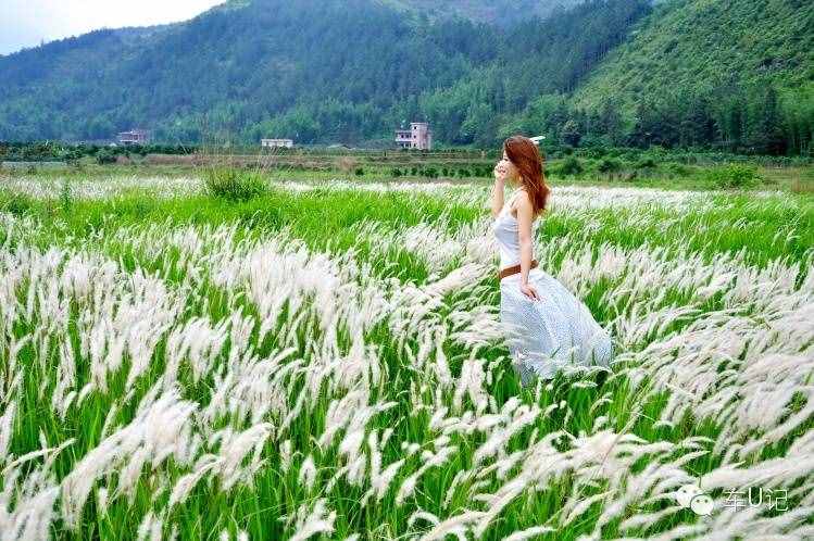 从化响水峡，艳遇浪漫茹根花海