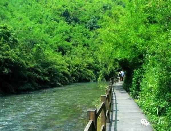 从化响水峡，艳遇浪漫茹根花海