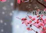 今日更新同位语从句和定语从句的区别（同位语从句和定语从句的区别）