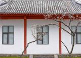 今日更新玄武湖导游词（南京玄武湖公园樱洲·樱花语）