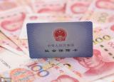 今日更新社保怎么查（缴纳了社保）
