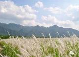 今日更新从化响水峡（响水峡）