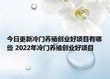 今日更新冷门养殖创业好项目有哪些 2022年冷门养殖创业好项目