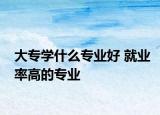 大专学什么专业好 就业率高的专业