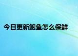 今日更新鲍鱼怎么保鲜