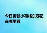 今日更新小葛格东游记在哪里看