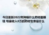 今日更新2022年种植什么药材最赚钱 每亩收入8万的药材生意是什么