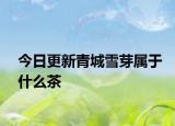 今日更新青城雪芽属于什么茶