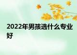 2022年男孩选什么专业好