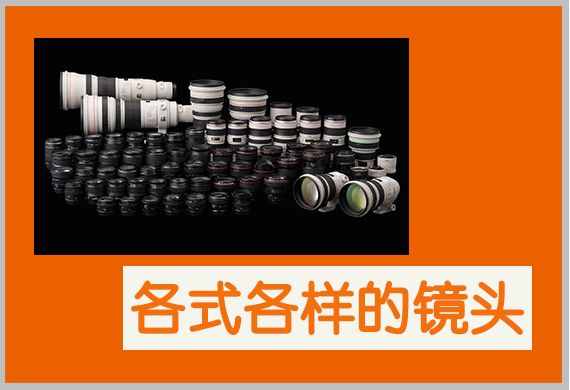 经验之谈：十个单反选购技巧，助你一步跳出买相机的“深水坑”