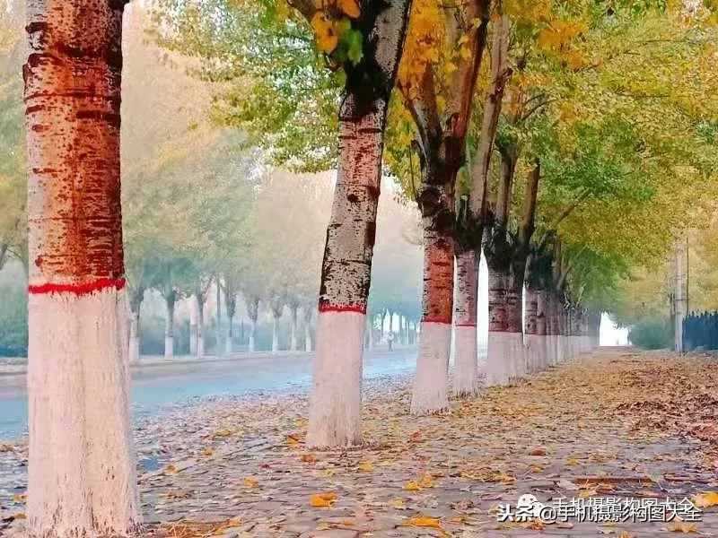 摄影赏析：看完这9幅作品，你也可以拍出这样美的好片！