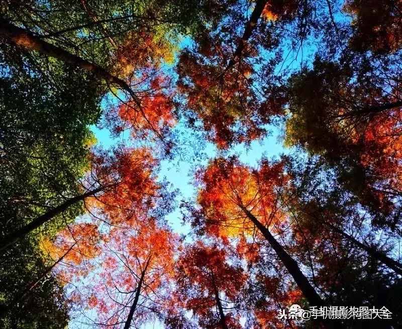 摄影赏析：看完这9幅作品，你也可以拍出这样美的好片！