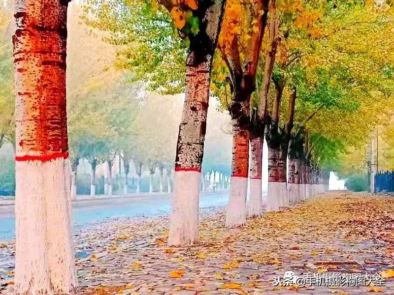 摄影赏析：看完这9幅作品，你也可以拍出这样美的好片！