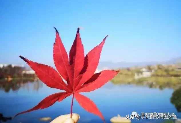 摄影赏析：看完这9幅作品，你也可以拍出这样美的好片！