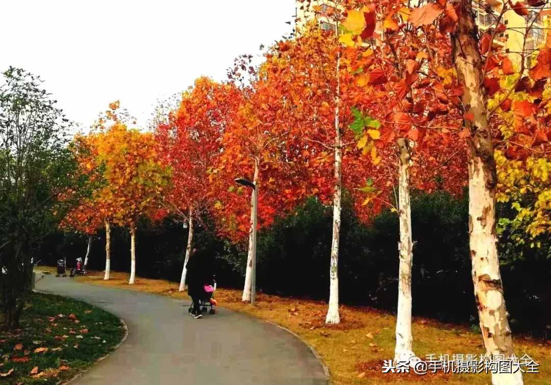 摄影赏析：看完这9幅作品，你也可以拍出这样美的好片！