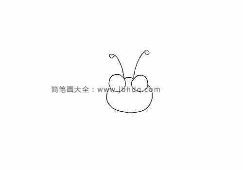 画毛毛虫的触须