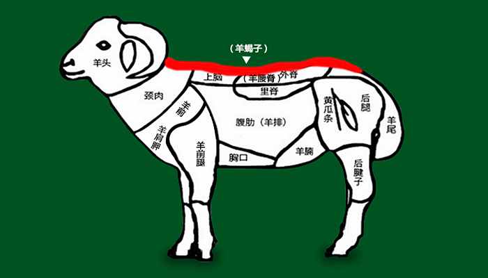 羊蝎子到底是什么，为啥叫羊蝎子，味道好吃吗？涨知识了