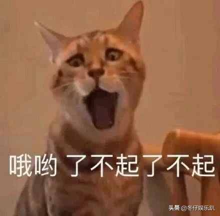 11年前大火的《蜗居》为何被禁播？看完缘由真佩服，这剧可真敢拍