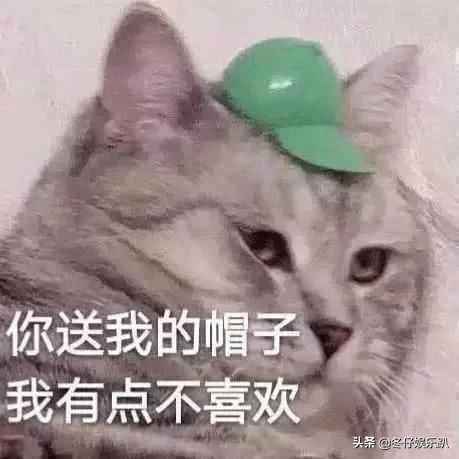 11年前大火的《蜗居》为何被禁播？看完缘由真佩服，这剧可真敢拍