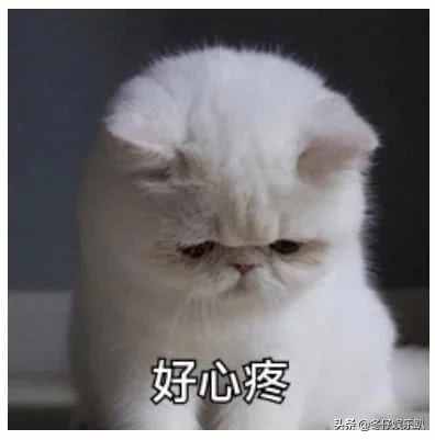 11年前大火的《蜗居》为何被禁播？看完缘由真佩服，这剧可真敢拍