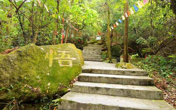 中山市逍遥谷里并不逍遥，谁去谁知道