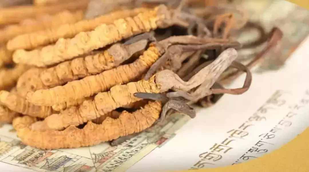 西藏之旅值得带回的8种特产