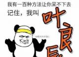 今日更新叶良辰是什么梗（叶良辰）