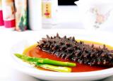 今日更新海参煮多久好(海参一次吃多少比较好)