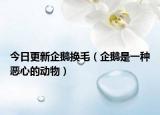 今日更新企鹅换毛（企鹅是一种恶心的动物）